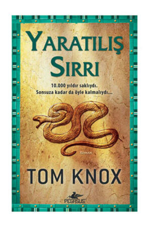 9786054263776 Pegasus Yayınları