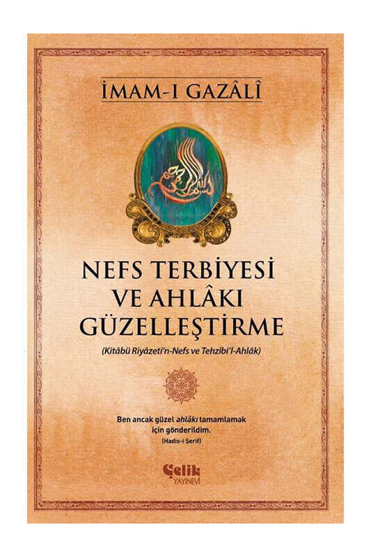Çelik Yayınevi 9786257746168